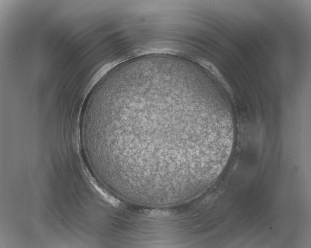 X0000079320890200612011839