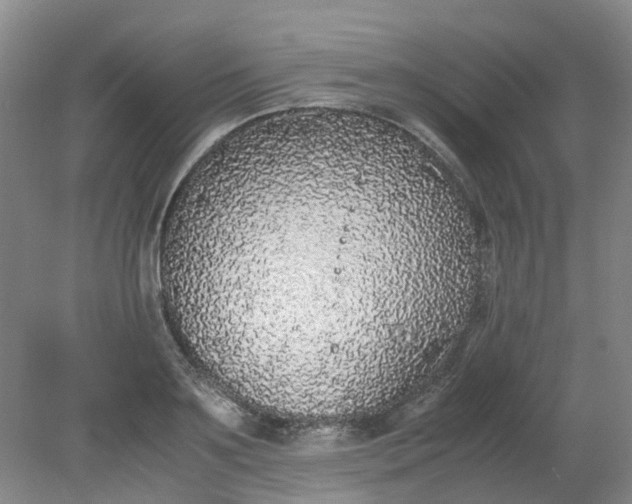 X0000079320891200612011839