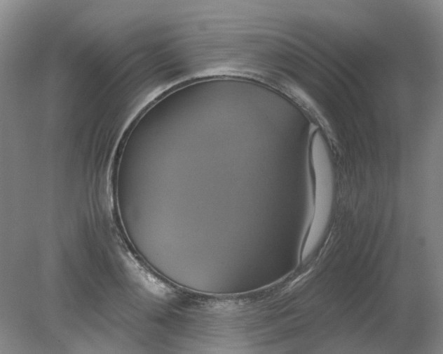 X0000079320892200612011839