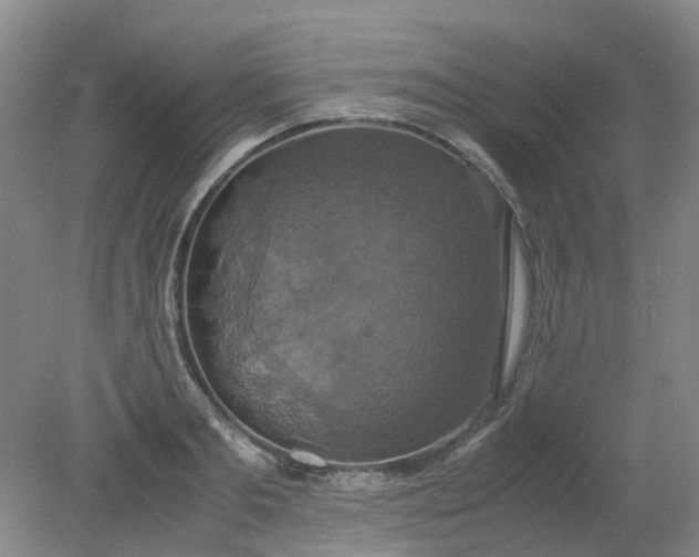 X0000079320893200612011839