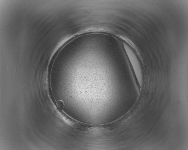 X0000079320894200612011839