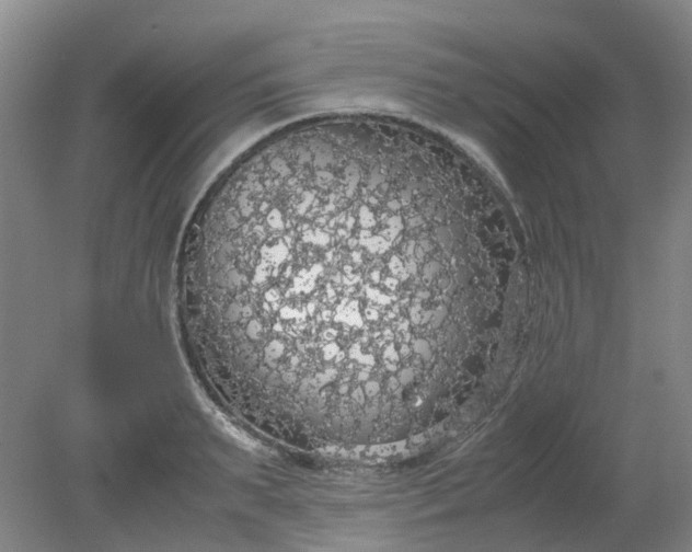 X0000079320895200612011839