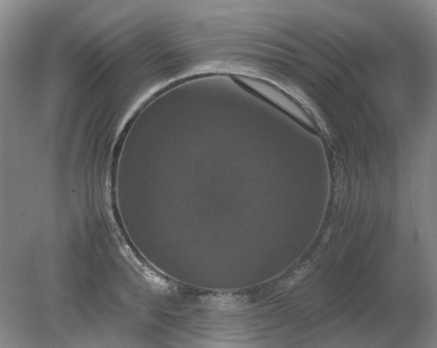 X0000079320896200612011839