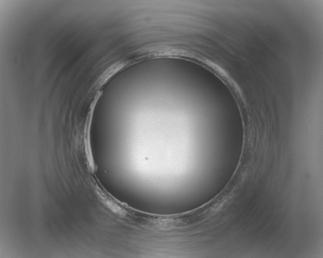 X0000079320897200612011839