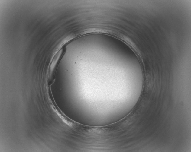 X0000079320898200612011839