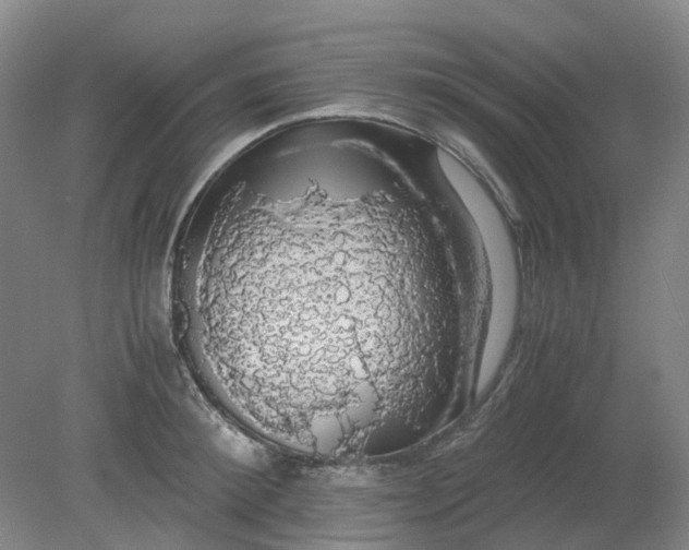 X0000079320900200612011839