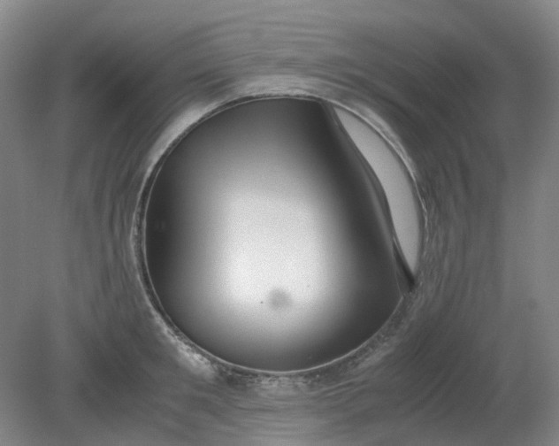 X0000079320901200612011839