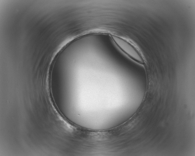 X0000079320902200612011839