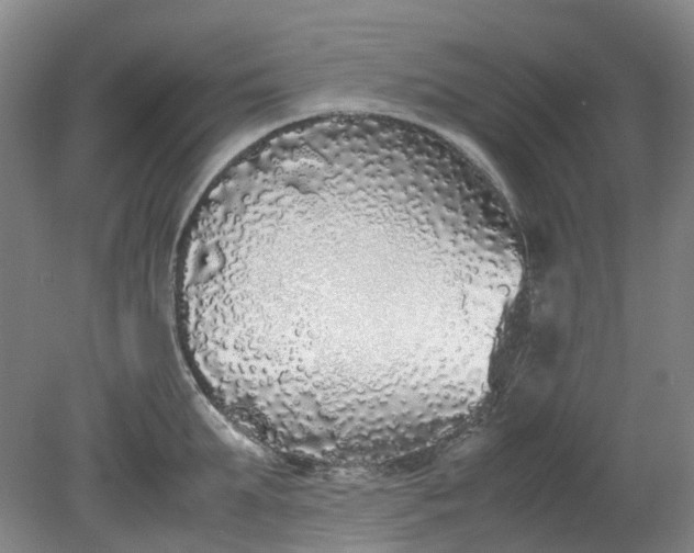 X0000079320903200612011839