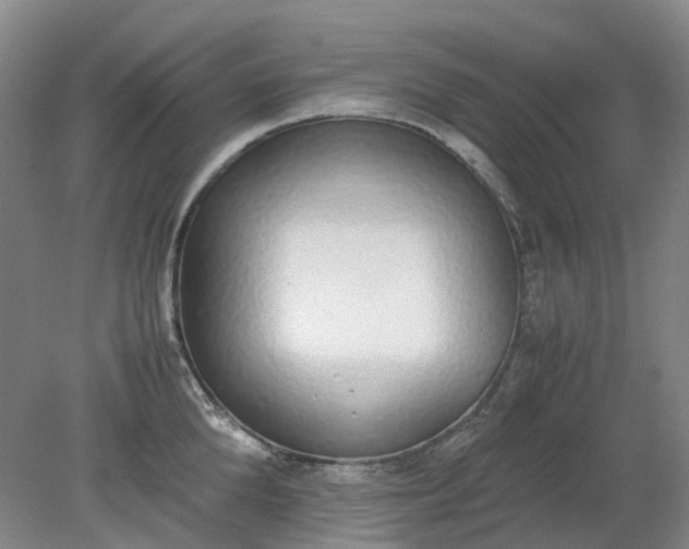 X0000079320904200612011839