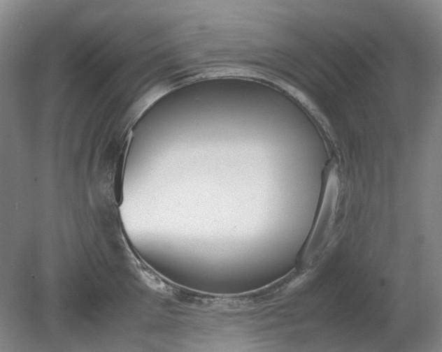 X0000079320905200612011839