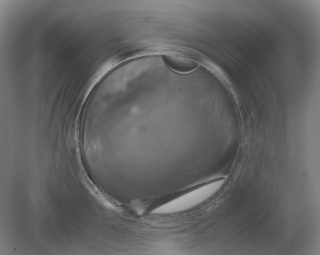 X0000079320907200612011839