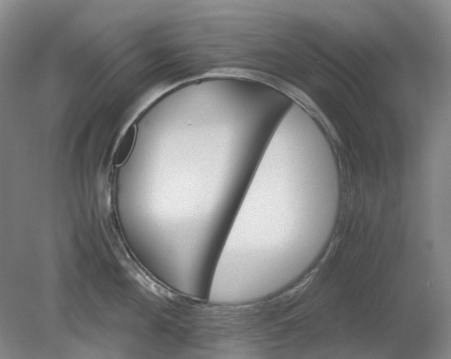 X0000079320908200612011839