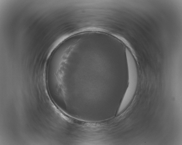 X0000079320910200612011839