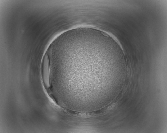 X0000079320911200612011839