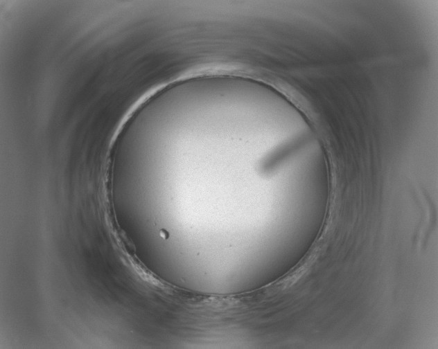 X0000079320912200612011839