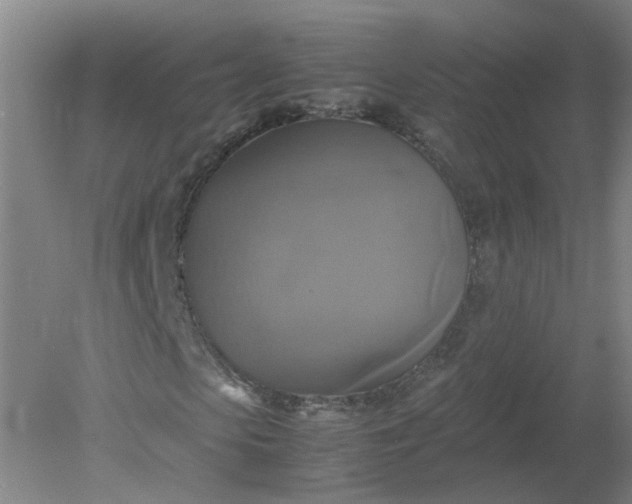 X0000079320913200612011838