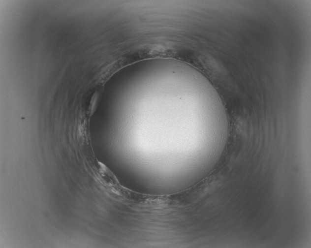 X0000079320914200612011838