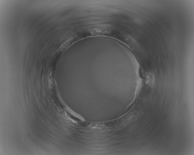 X0000079320915200612011838