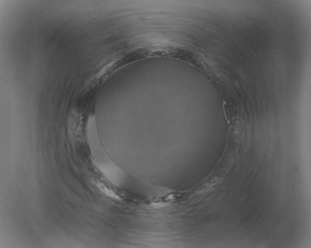 X0000079320916200612011838