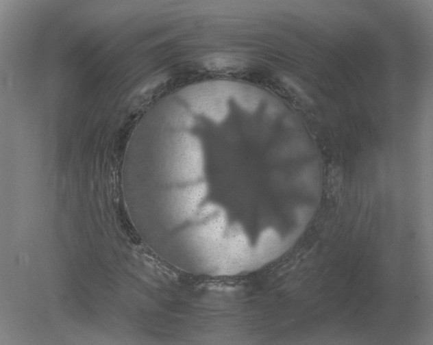 X0000079320917200612011838