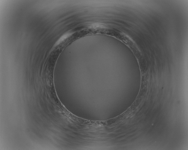 X0000079320919200612011838