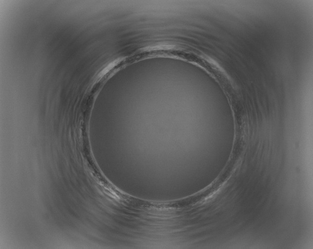 X0000079320921200612011838