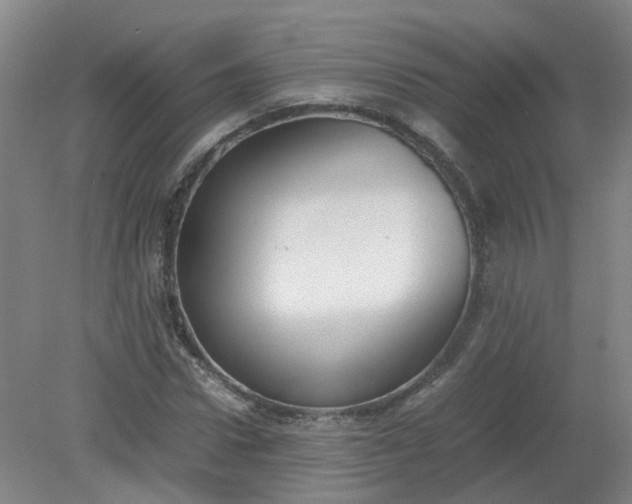 X0000079320922200612011838