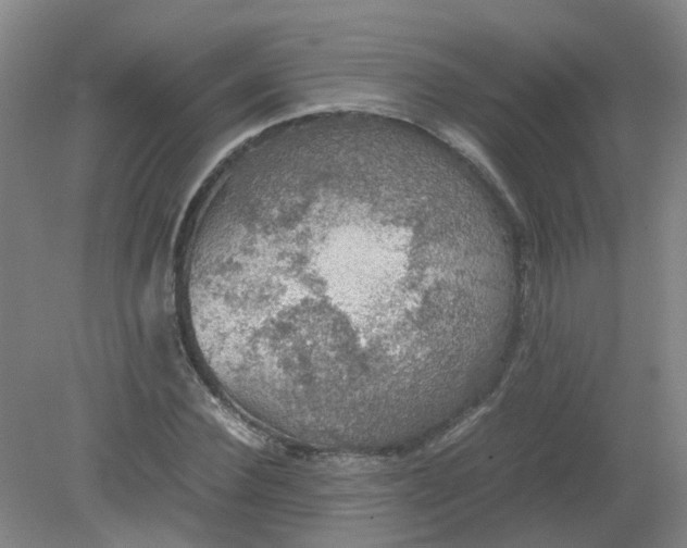 X0000079320924200612011838