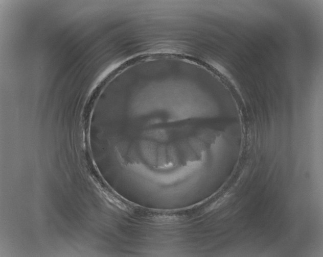 X0000079320925200612011838