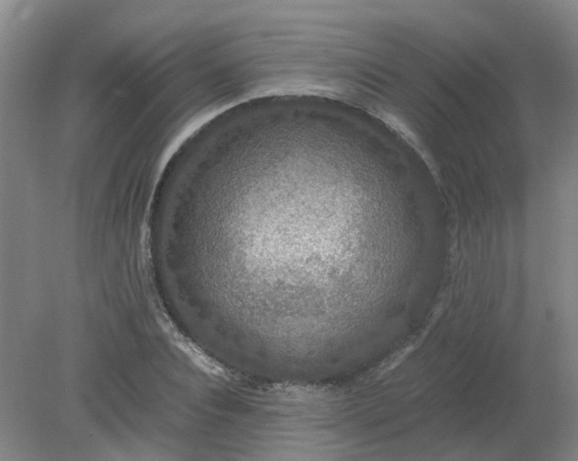 X0000079320928200612011838