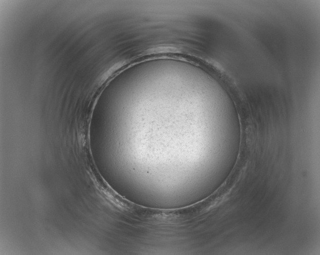 X0000079320929200612011838