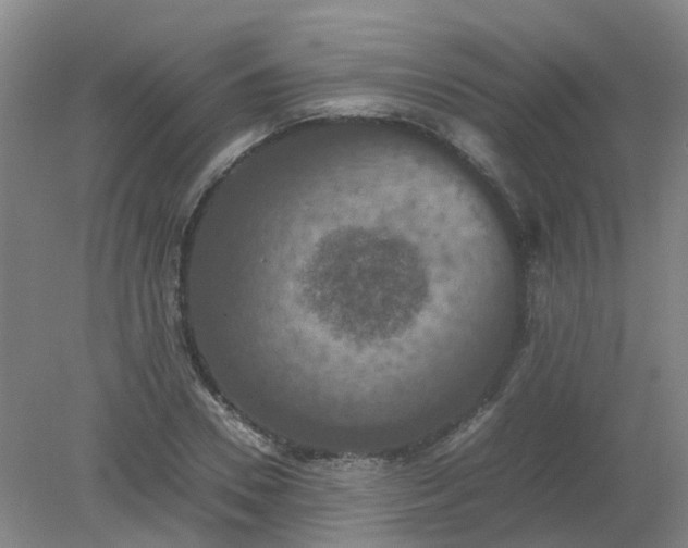 X0000079320930200612011838