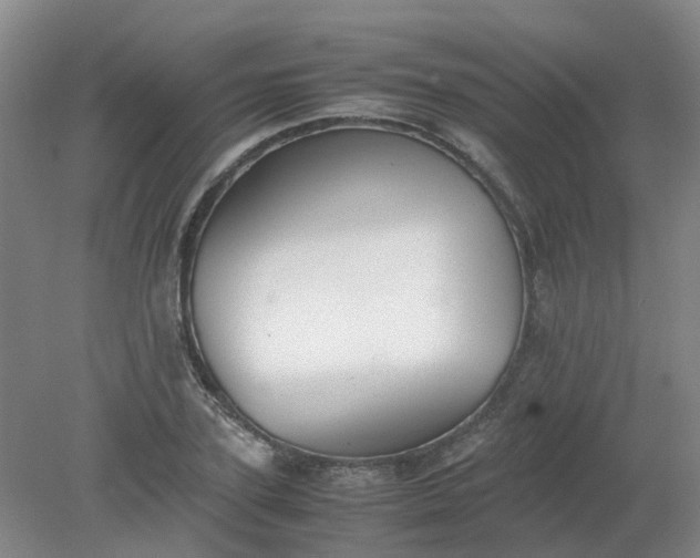 X0000079320931200612011838