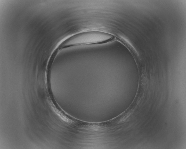 X0000079320932200612011838