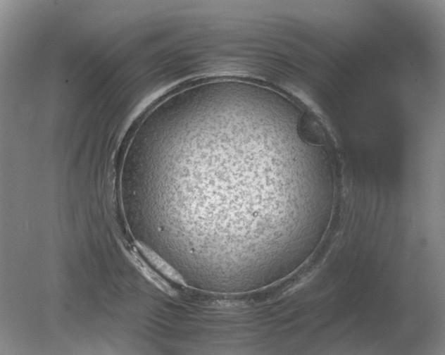 X0000079320933200612011838