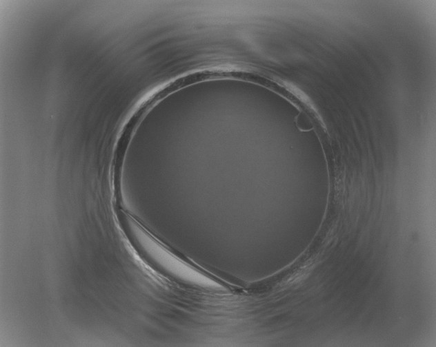 X0000079320935200612011838