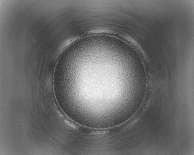 X0000079320937200612011838