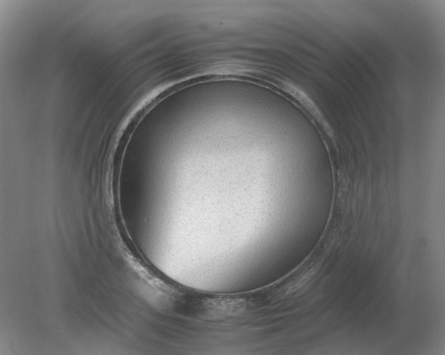 X0000079320939200612011838