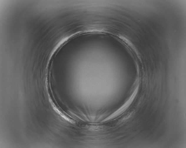 X0000079320941200612011838