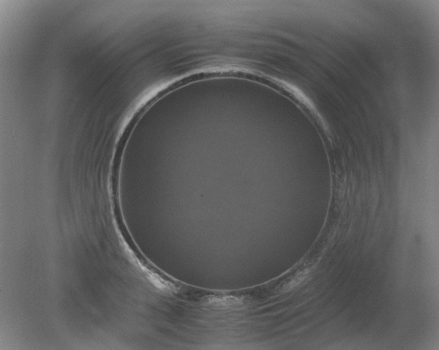 X0000079320943200612011838