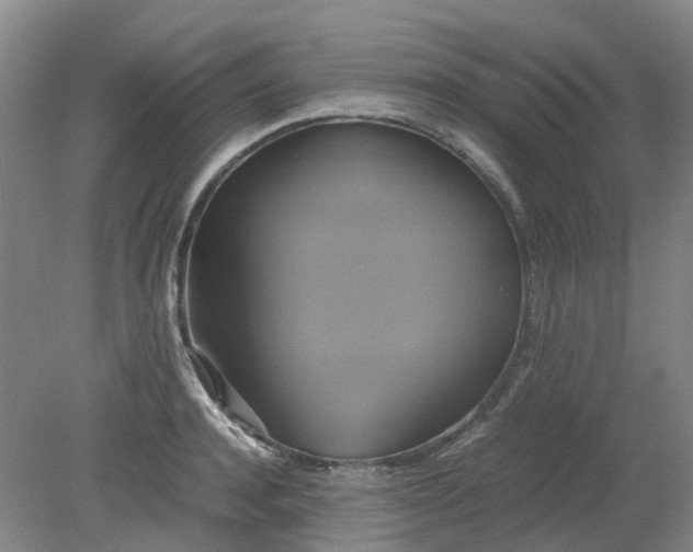 X0000079320944200612011838