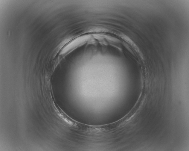 X0000079320945200612011838