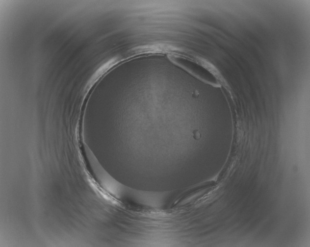 X0000079320946200612011838