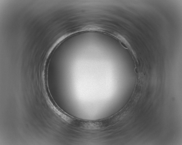 X0000079320947200612011838