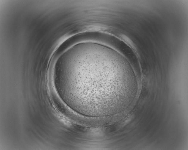 X0000079320948200612011838