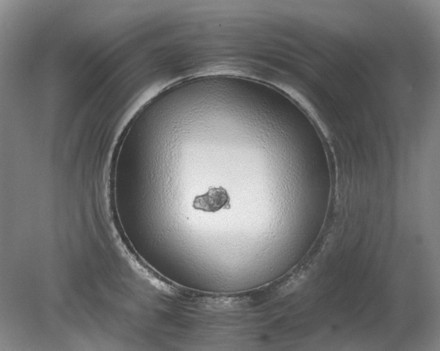 X0000079320949200612011839