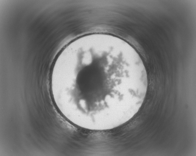 X0000079320950200612011839