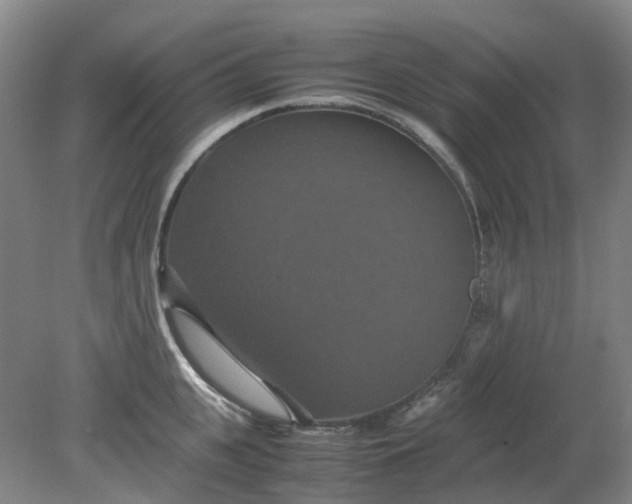 X0000079320951200612011839