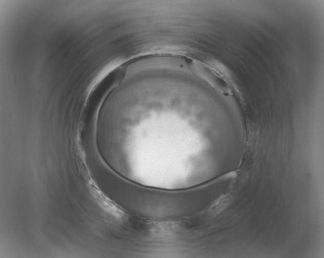 X0000079320952200612011839